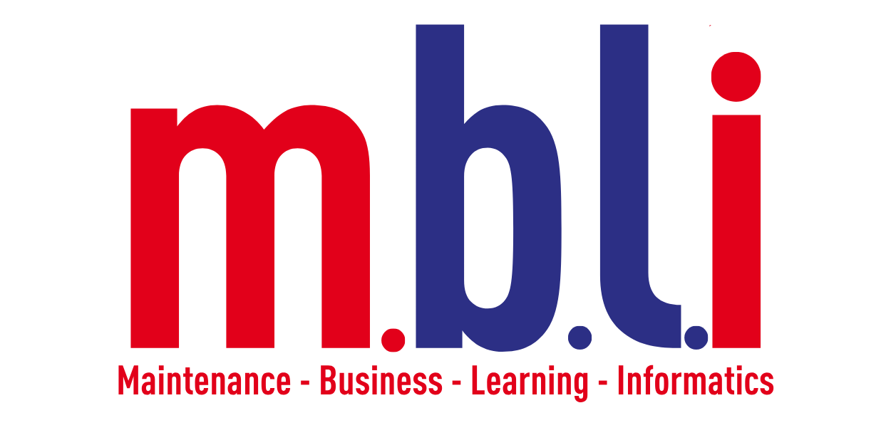 Ecommerce MBLI
